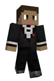 aam3r Minecraft avatar full body