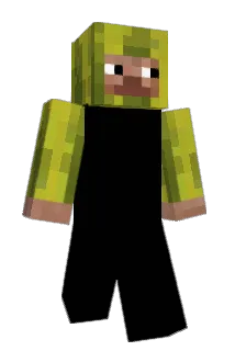 aanderdingus Minecraft avatar full body