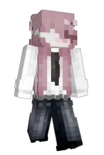 aardappelsnack Minecraft avatar full body