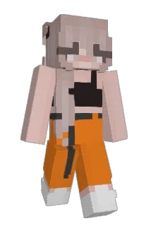 aaro95 Minecraft avatar full body