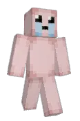 Ritjer
