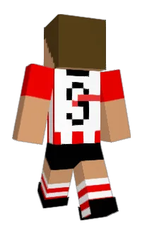 DaanDude's Minecraft skin