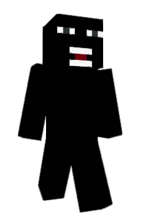 Front of NrSE's skin