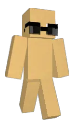 Minecraft skin — Classic model