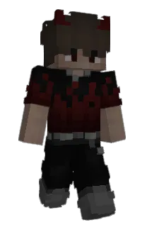 Front of 361z's skin