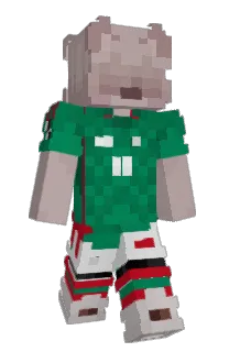 Front of zLiopy's skin