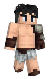 Front of elmega16's skin
