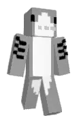 RACAMC