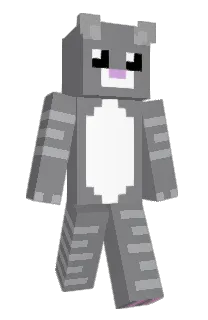 Front of icepi's skin
