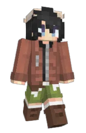 Skin preview