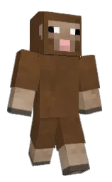 pickled bean and irish coffee Minecraft skin — Classic model