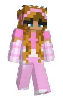 Front of BestAnet's skin