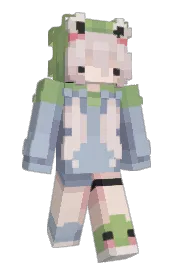 Skin preview