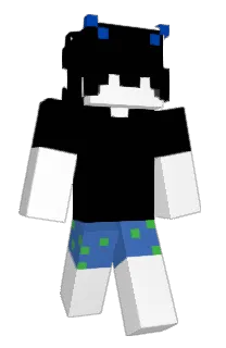Front of Minecraft skin