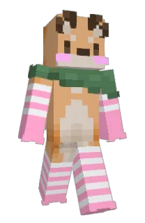Front of Celveza's skin