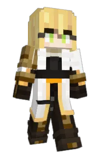 Front of jinhaWOT's skin