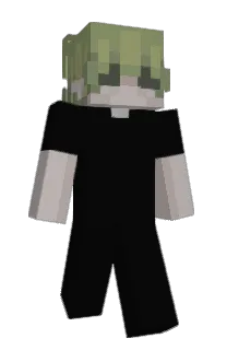 Front of SaltyWifi's skin
