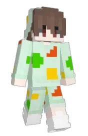 Skin preview