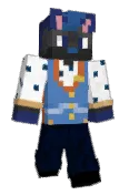 CoasterFurMerlin