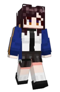 Front of AP_Shell's skin