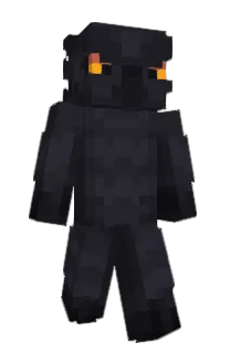 Front of RocTheBird's skin