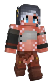 TerraSwallows's Minecraft skin