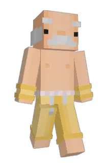 abby102030 Minecraft avatar full body