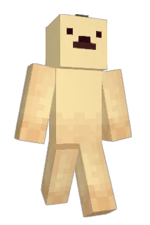 abbyshoe10 Minecraft avatar full body