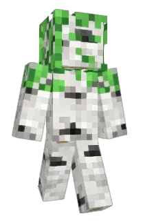 Front of Birch's skin