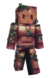 Skin preview