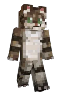 Front of juhoski's skin