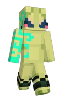 Front of iFloatin's skin