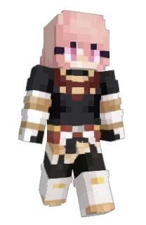 Front of kaycicle's skin