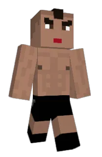 Front of ElLiteral's skin