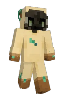 abearr Minecraft avatar full body