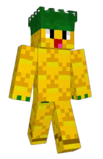 Front of BemJ's skin