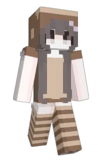 Front of vintte's skin