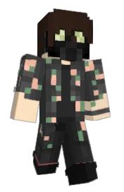 Skin preview