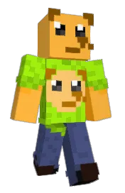 Skin preview