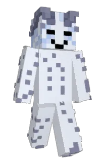 Front of Remyiez's skin