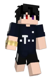 abina_ Minecraft avatar full body