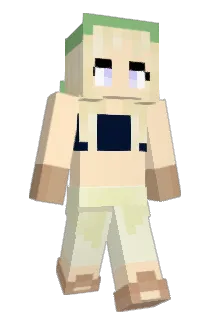 abitante Minecraft avatar full body