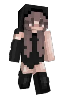 absofsteel9 Minecraft avatar full body