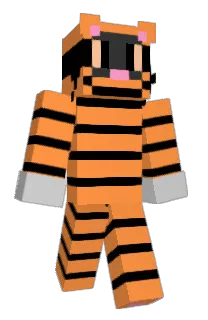 Front of Minecraft skin