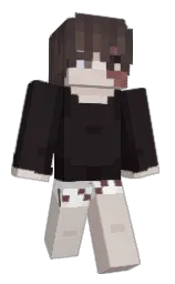 Minecraft skin — Classic model