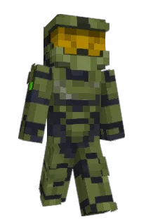 Front of Pasans's skin