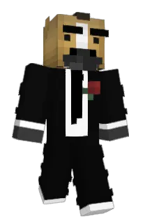 Front of ToonSam312's skin