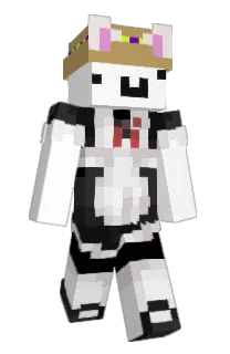Front of kermeemire's skin