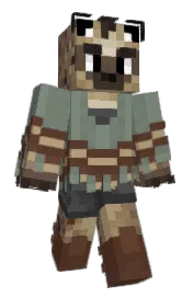 Skin preview