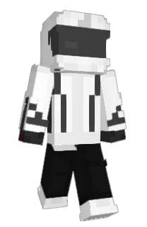 Front of NinjaLX7's skin